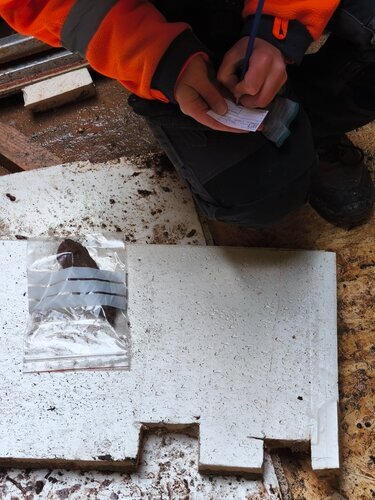 Collecte des échantillons (4)