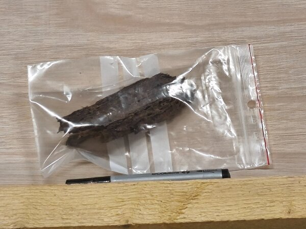 Collecte des échantillons (2)