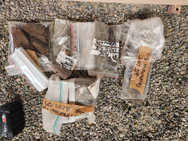 Collecte des échantillons (1)